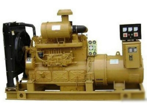 上柴發(fā)電機(jī) (3)
