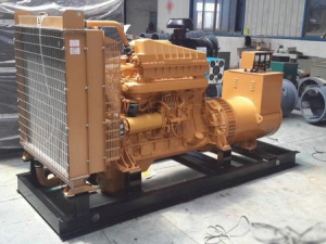 上柴發(fā)電機(jī) (1)