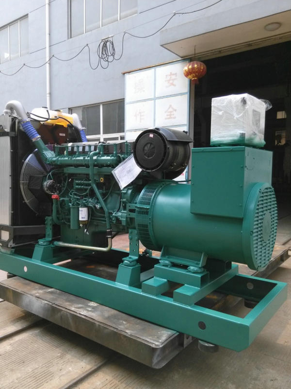 沃爾沃發(fā)電機 (6)